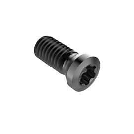 C04010-T15P Lock Screw For Indexables product photo