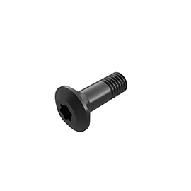 WS1620-T20P Cap Screw For Indexables product photo